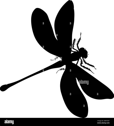 Silhouette Of Dragonfly Dragonfly Close Up Detailed Vector Dragonfly