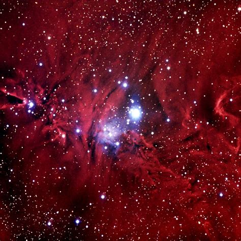 The Beautiful Cone And Fox Fur Nebula Sky Image Lab