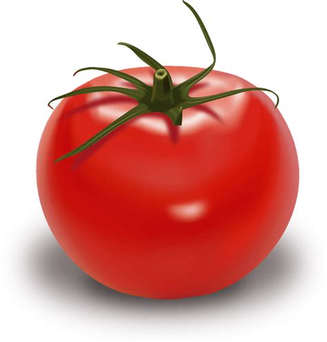 Green Tomato Clip Art