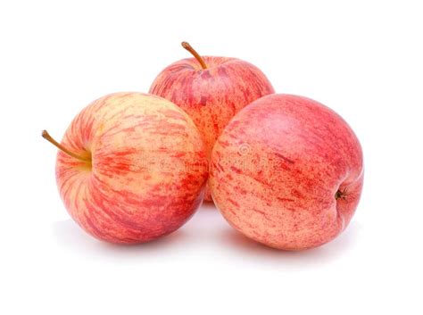 Gala Apples Isolate On White Background Stock Photo Image Of