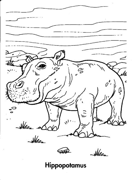 Planet Earth Awesome Animals Coloring Book Coloring Pages