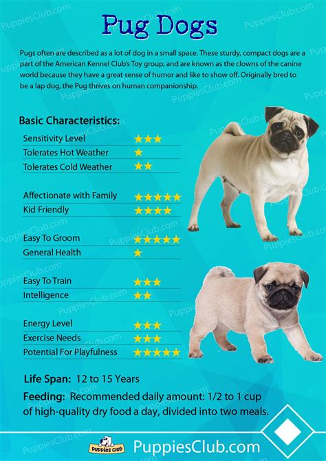 Pin By Puppies Club On Dog Breeds Characteristics Dog Emotions Pugs