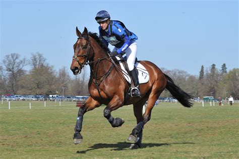 Do You Know How To Gallop Your Horse Correctly Equo Events