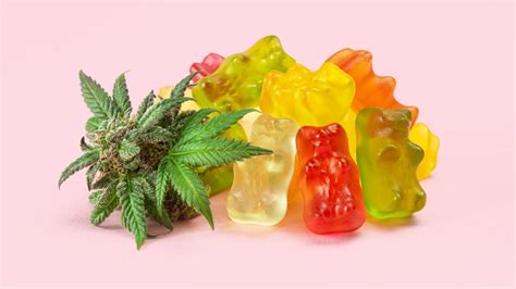 Your Ultimate Guide To Cbd Gummies
