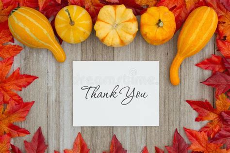 Thank You Message For Fall Season Stock Photo Image Of Text Leaves