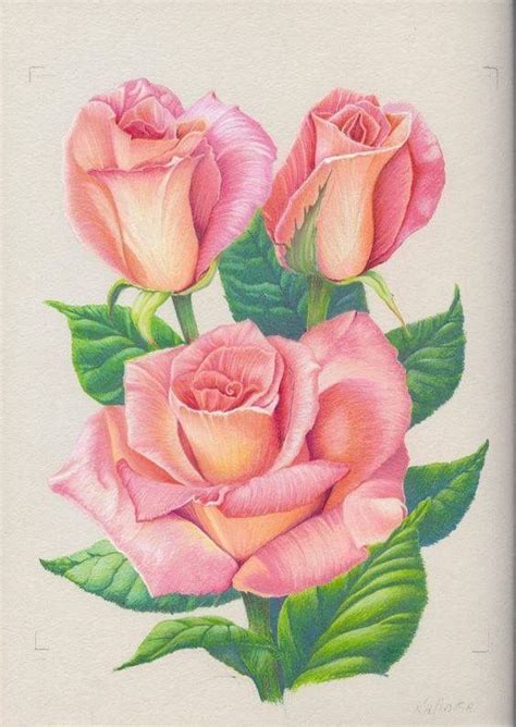 Disegni da colorare di fiori. Pin di Enrica su ceramica | Disegni di rose, Disegno fiori ...