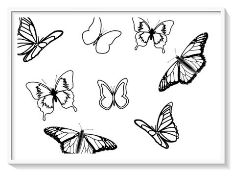 Dibujos Para Pintar Mariposas