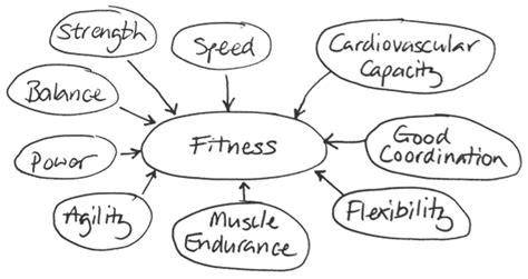 COMPONENTS OF FITNESS Diagram Quizlet