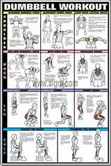 Images of Dumbbell Arm Exercise Routines