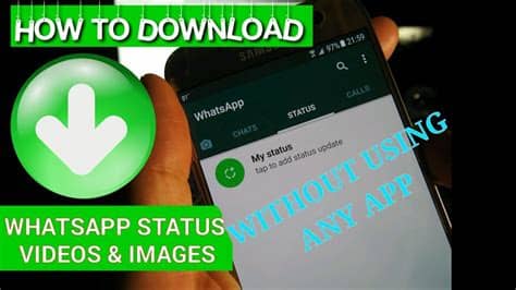 Whatsapp++ is a custom version of whatsapp for ios devices with functions and features that don't appear in the original version of the step 4: How to download/save whatsapp status videos & images ...