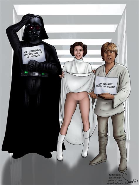 Post A New Hope Darth Vader Luke Skywalker Princess Leia