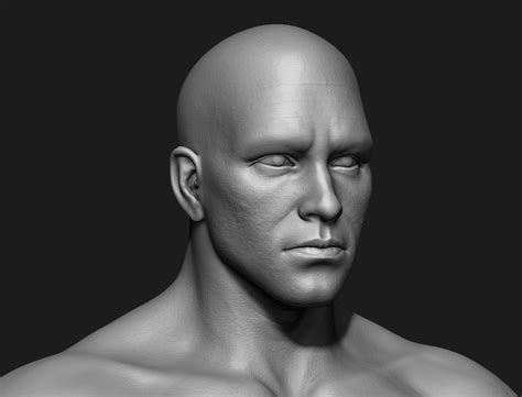 Realistic Human Male Body Zbrush 3d Model 3d Model 12 Ztl Free3d