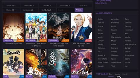 How To Watch 9anime On Firestick Using A Vpn Guide