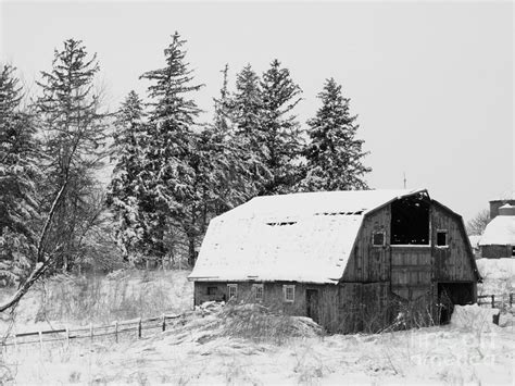 Forgotten Barn Photograph By J L Zarek Fine Art America