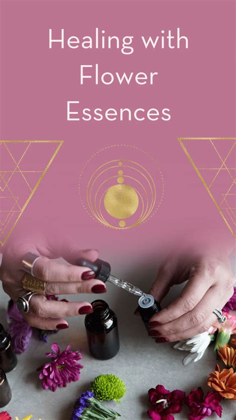 Healing With Flower Essences An Interview With Alena Hennessy Author