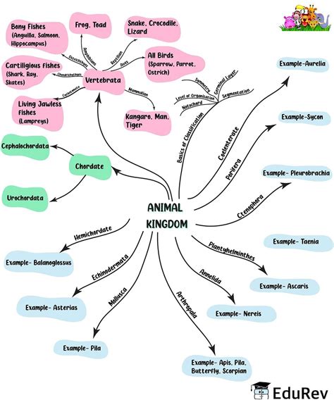 Top 121 Class 11 Biology Chapter Animal Kingdom Notes