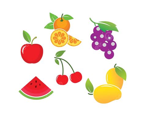 Fruits Set Vector Icon Illustration Design Fruits Cherry Splash Vector