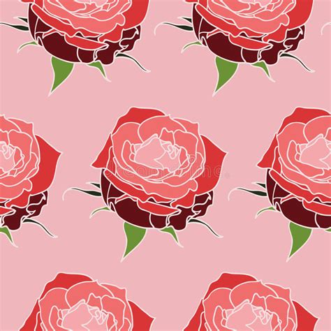 Seamless Pink Roses Pattern Stock Vector Illustration Of White