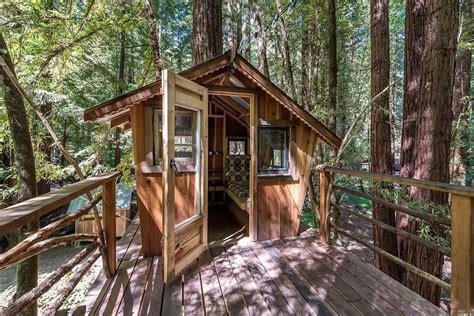 Tiny Redwood Cabin And Treehouse With Ziplines Dream Big Live Tiny Co