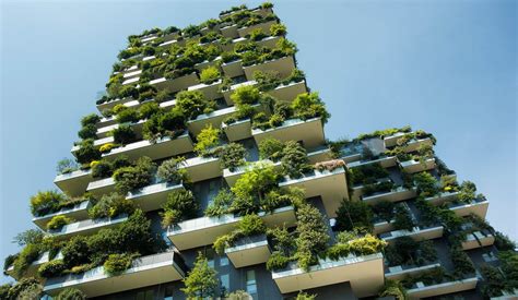 ¿qué Tanto Sabes Sobre La Arquitectura Sustentable Diario Basta