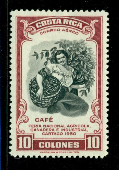 Inkfrog Postage Stamp Design Postage Stamp Art Postage Stamp