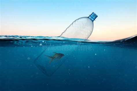 Plastic Bottle With Fish Pollution In The Ocean Hopelessness Concept