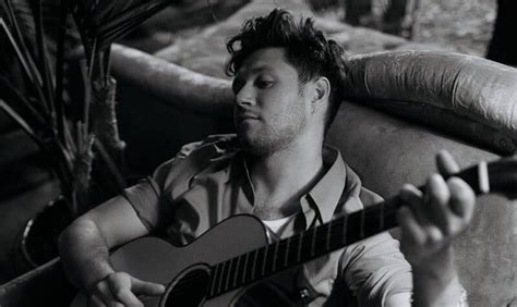 Niall Horan Announces New Album Name And Release Date Releases New