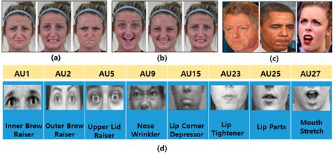 sensors free full text a brief review of facial emotion recognition based on visual information