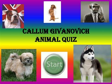 Ppt Callum Givanovich Animal Quiz Powerpoint Presentation Free