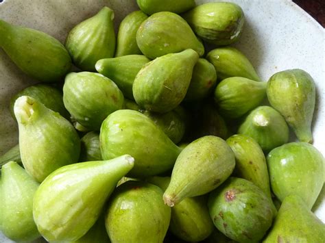 CONSERVES DE FIGUES
