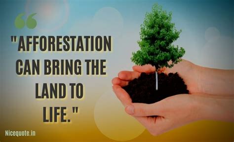 80 Best Slogans On Save Trees And Save Tree Quotes January 2024