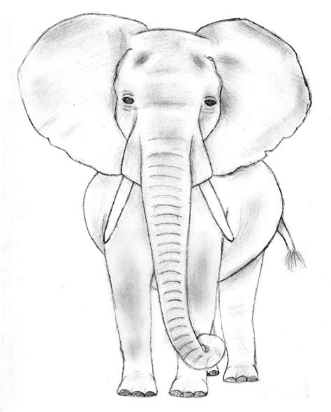 Elephant Sketch 1 By Therebelwithnocause On Deviantart