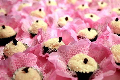 Free Images Petal Pink Cupcake Baking Dessert Cake Muffin