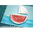 Paper Plate & Coffee Filter Boat  Kid Craft Idea For Columbus Day