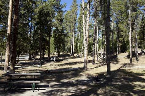 Norris Campground Information Map Pictures And Video Yellowstone National Park ~ Yellowstone