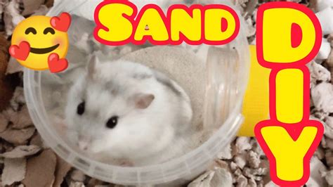 Diy Hamster Sand Bath Youtube