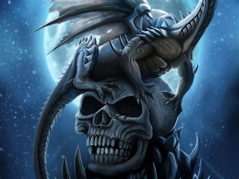 Skull Dragon Wallpapers Top Free Skull Dragon Backgrounds