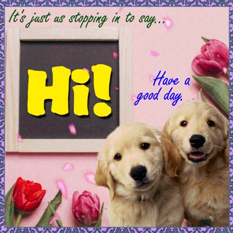 Just Us Stopping In To Say Hi Free Hi Ecards Greeting Cards 123