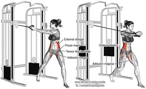 Cable Wood Chop Exercise Instructions And Video Weight Training Guide