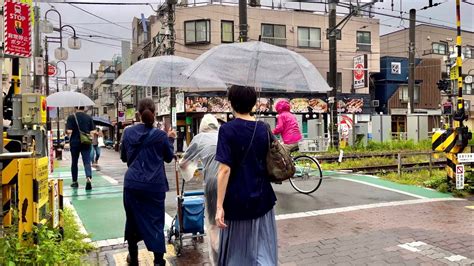 Japantokyo Unoki Rainy Walking Scenery Rokugo Yosui Aqueduct Youtube