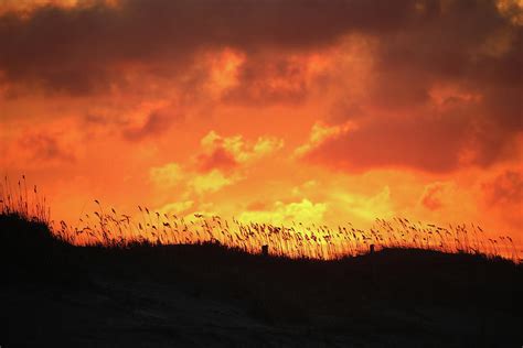 Dramatic Beach Sunrise Photograph By Scott Burd Fine Art America