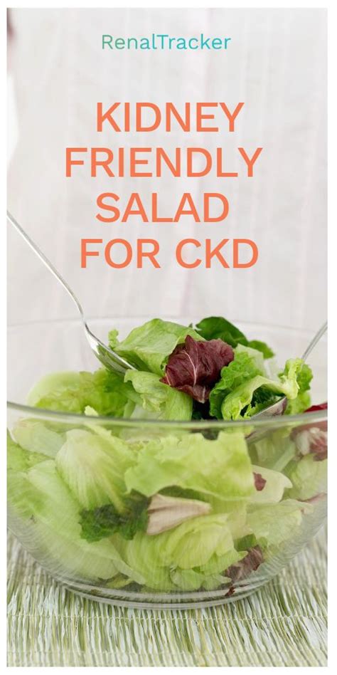 ¢ understand kidney replacement options and the nutrition. 5 Fast Food Options for CKD Patients | Kidney friendly ...