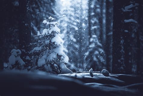 Oh By The Way Beauty Photography For Winter Joni Niemelä