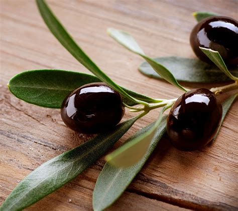 Download Olive Hd Widescreen Wallpaper At Gethdpic By Stephanief
