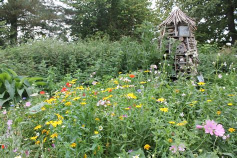 Learn How To Encourage And Enjoy More Wildlife In The Garden