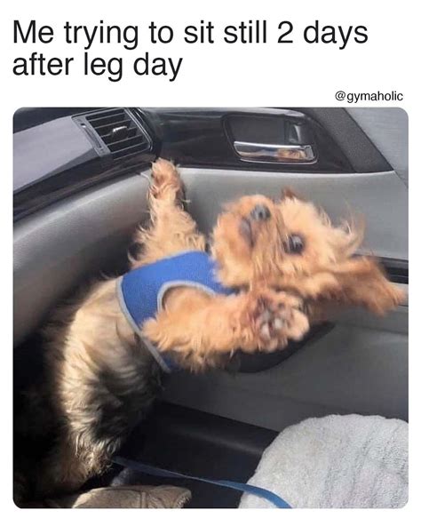 Me Trying To Sit Still 2 Days After Leg Day Gymaholic