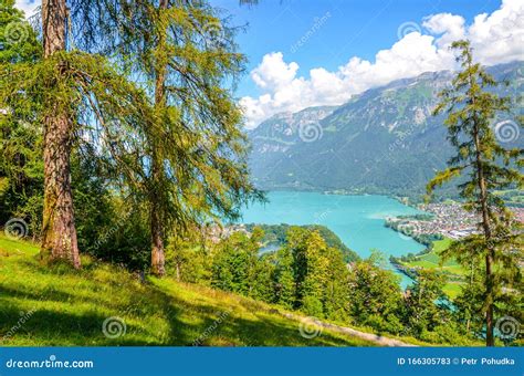 Amazing Brienz Lake In Interlaken Switzerland Photographed From The