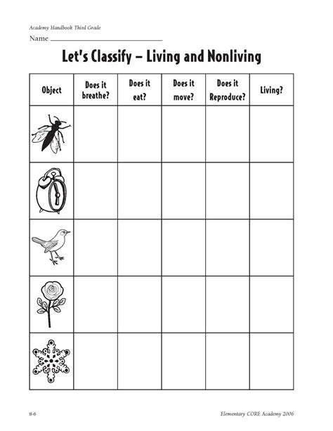 7 Characteristics Of Life Worksheet