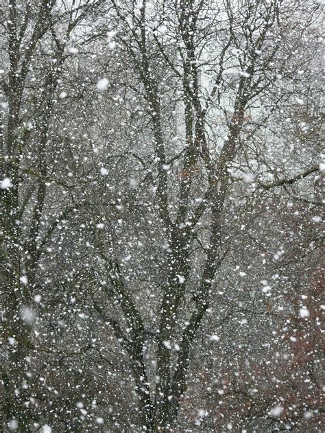 Hd Wallpaper Snowfall Snowflakes Blizzard Winter Winter Dream