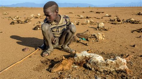 Kenyans Die As Drought And Hunger Ravages 13 Counties Business Today